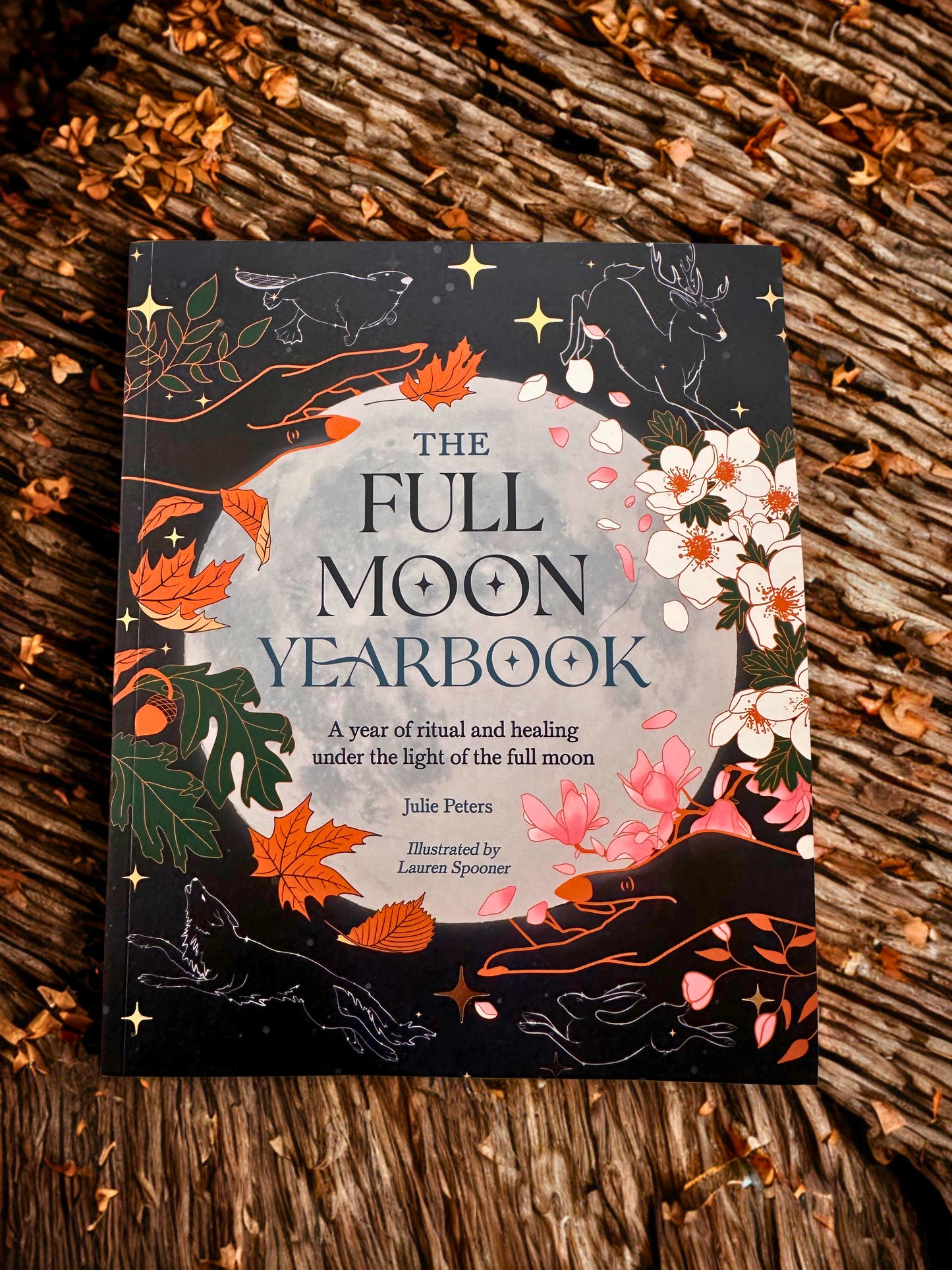 The Full Moon Yearbook